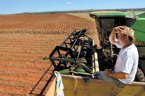 O agricultor José Prediger já teve quebra de 70% da produção de soja por causa da ferrugem asiática: 