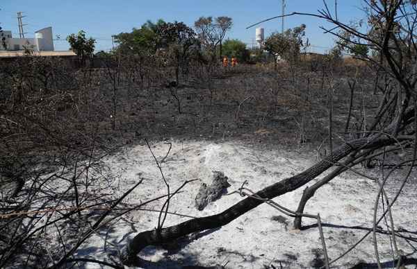 Uma área de aproximadamente três hectares foi incendiada há 25 dias no Jardim Botanico de Brasília