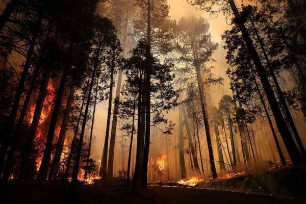 Queimada começou no parque natural Yosemite e já destruiu mais de 54 hectares de vegetação