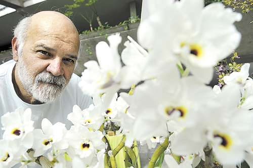 Sérgio Abrantes cultiva orquídeas há quatro anos e já tem 25 mil mudas. O produtor José Serafim tem 30 mil e a meta é chegar a 50mil  mudas em 2015