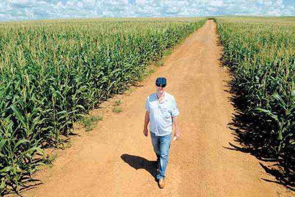 Vilson Thomas, no meio da plantação de milho: ele e outros produtores colheram bons resultados e o agronegócio bateu recordes de produção