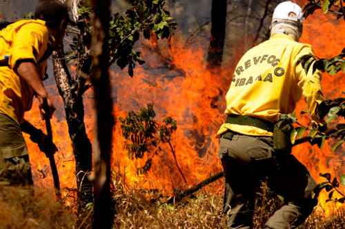 Neste ano foram identificados 39.253 focos de queimadas no país