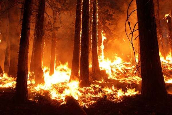 O incêndio é o quarto maior da história da Califórnia desde que começaram os registros