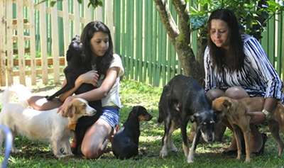 Na próxima sexta-feira, será comemorado o Dia Mundial dos Animais. Nessa data, é importante lembrar que todos eles, com e sem raça, precisam de cuidado e merecem respeito durante o ano inteiro