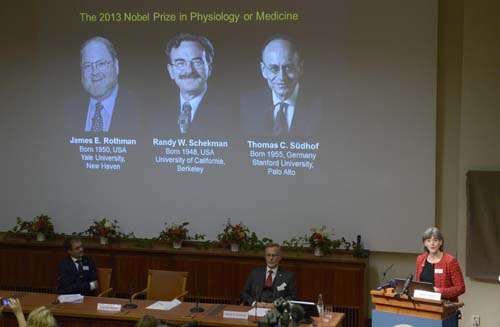 Juleen Zierath (D), presidente do comitê do Nobel de Medicina ou Fisiologia, fala durante o anúncio dos vencedores do Prêmio Nobel de Medicina de 2013