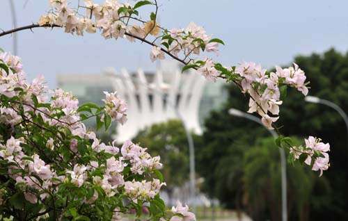 No 25º dia da primavera, Brasília amanhece com céu encoberto: Inmet prevê pancadas de chuva ao longo dia