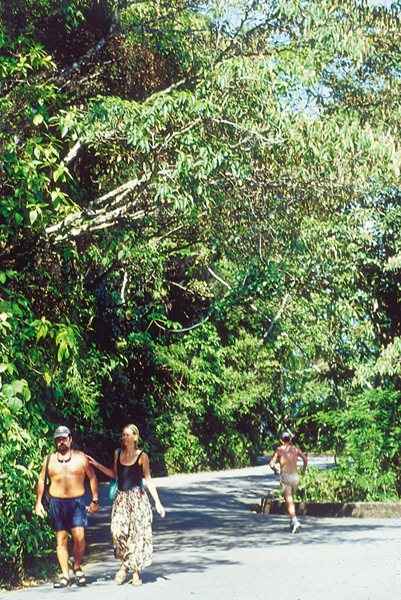 Segundo o chefe do parque, a unidade passa por obras para melhor atender aos visitantes