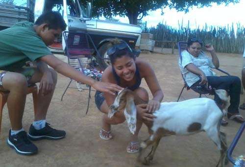 Adolescente morre ao tentar salvar cachorro: vítima tinha carinho pelos animais