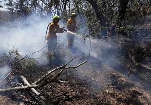 Milhares de bombeiros, em sua maioria voluntários, lutam há mais de uma semana contra as chamas