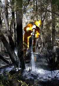 ombeiro tenta apagar fogo que se aproxima de casas perto do Blue Mountains subúrbio de Faulconbridge, localizado a de Sydney