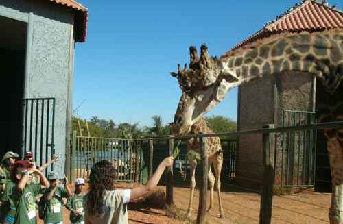 O Jardim Zoológico abrirá em horário normal no feriado