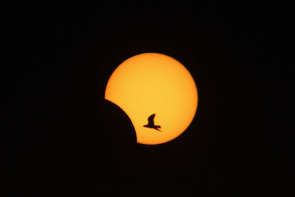 No Quênia, o Parque Sibiloi, a cerca de 1.000 km ao noroeste de Nairóbi, próximo ao grande lago seco de Turkana, recebeu centenas de quenianos e turistas para observar o eclipse