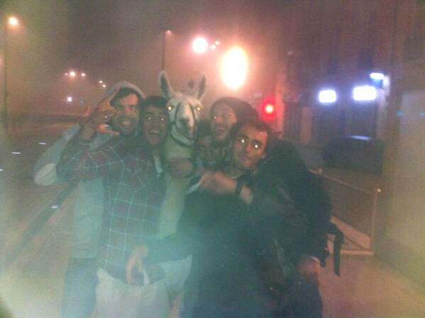 Jovens posam com a lhama para foto em uma rua de Bourdeaux