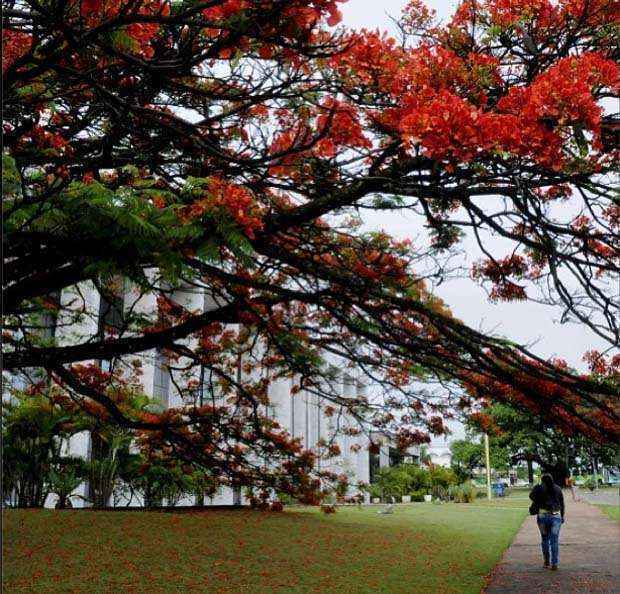 Céu encoberto a nublado: com o fim da primavera, prevista para dezembro, chuvas são registradas com mais frequência no Distrito Federal