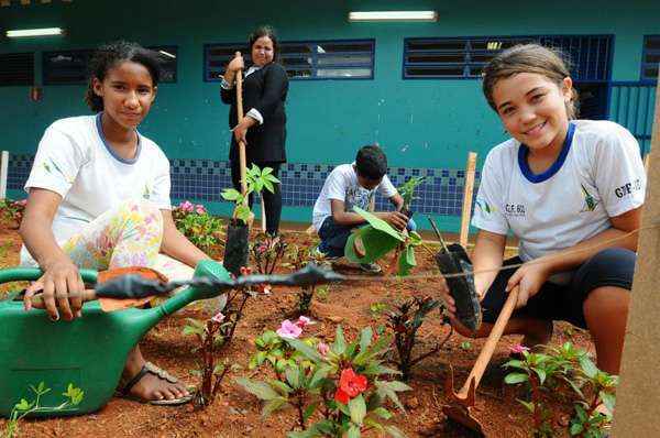 Além de uma convivência mais equilibrada com a natureza, eles cultivam espécies do cerrado e retiram das hortas complementos alimentares