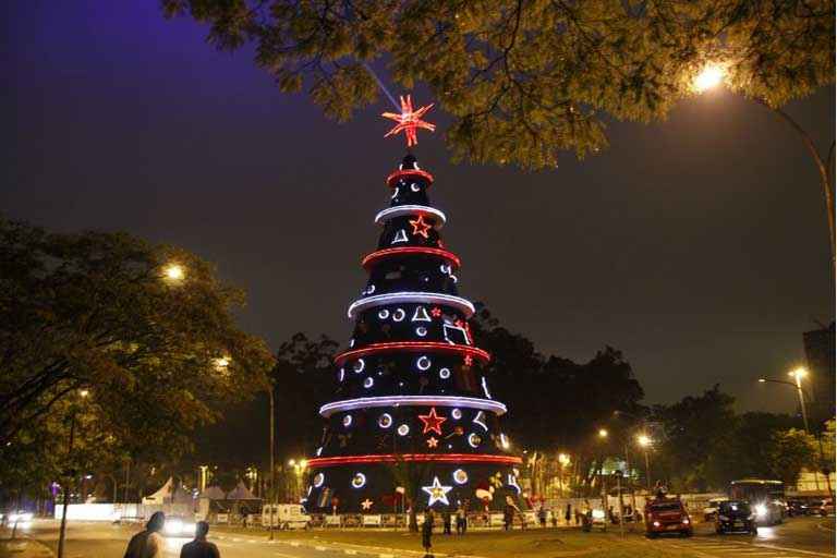 Árvore de Natal: Simboliza o local de onde surge a vida. Recebe as intenções que se coloca ao início de cada ciclo. Por isso, recebe os sinos, os doces e os presentes. As bolas, por sua vez, representam os frutos produzidos, ou seja, o resultado de nossas ações (boas ou ruins) durante o ano todo