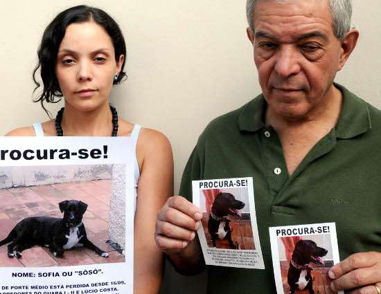 Marcella e o pai Abílio Terra Junior, com fotos da cadela Sofia, que desapareceu após ser levada para o banho, no Guará