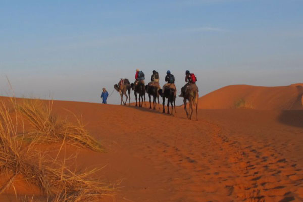 O passeio pelo deserto em cima de um dromedário é uma das atrações da cidade: aprecie o cair da tarde