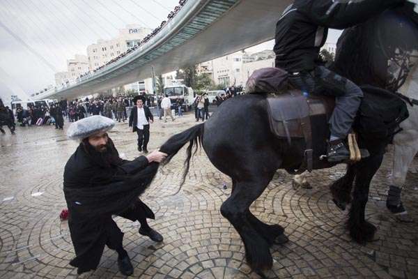 Judeu ultra-ortodoxo puxa a cauda de cavalo em ação policial para dispersar manifestantes durante protesto em Jerusalém