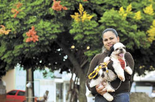 Mayara achou o shitzu na rua e já fez o que pôde para localizar o dono. O animal é dócil e ela confessa que não tem vontade de se desfazer do animal