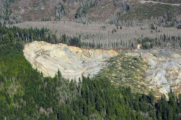 Encosta que desabou e produziu um deslizamento de terra perto de Oso, Washington