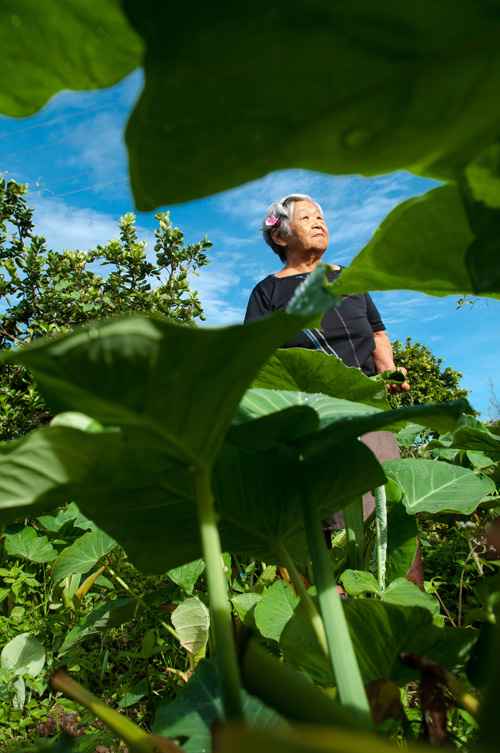  (crédito: Janine Moraes/CB/D.A Press)