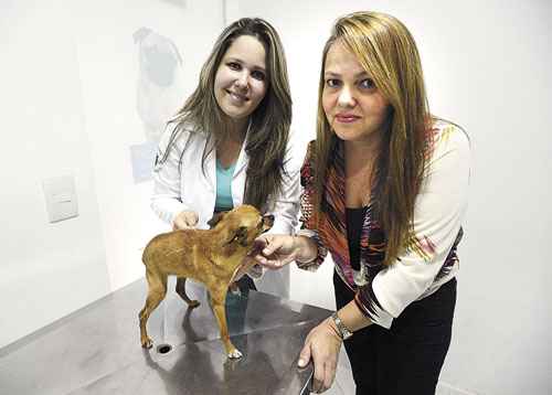 A cadelinha Tati recebe a atenção de Jossela e da veterinária Ana Catarina