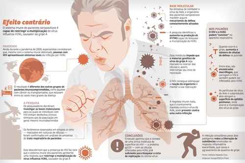 Equipe de brasileiros descobre mecanismo que não deixa o patógeno da influenza A contaminar soropositivos.Para especialistas, a pesquisa poderá estimular o desenvolvimento de terapias contra replicações virais