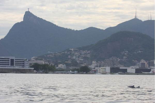 De acordo com a Secretaria de Estado do Ambiente (SEA), todos os lixões em torno da Baía de Guanabara já foram fechados.