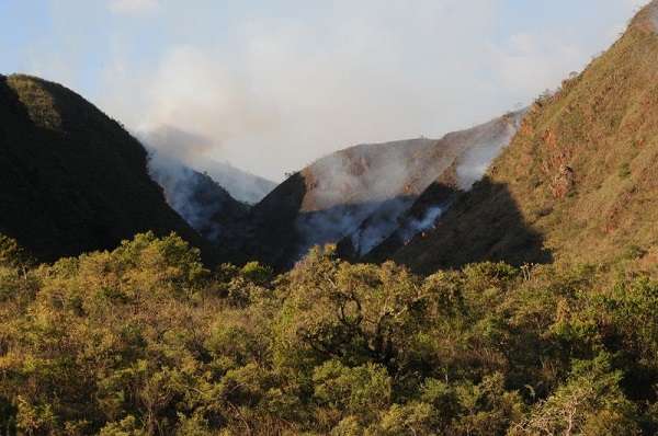 Há estimativas de que o incêndio já tenha consumido 40 hectares