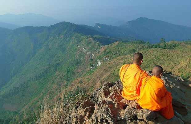 Monges meditam no silêncio da Tailândia