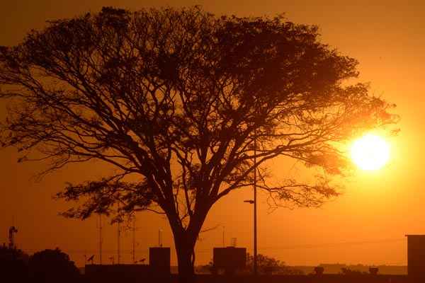 O céu ficará parcialmente nublado com névoa seca