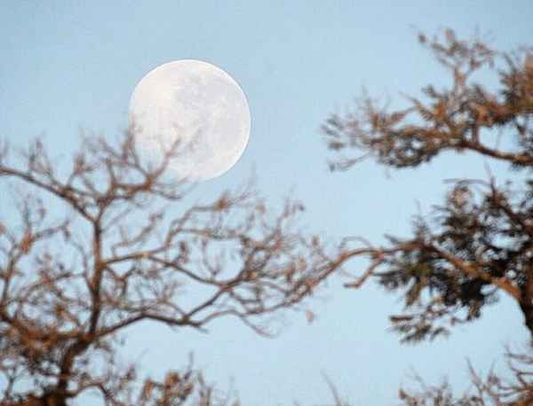 Com tempo seco, a temperatura deve continuar estável nos próximos dias