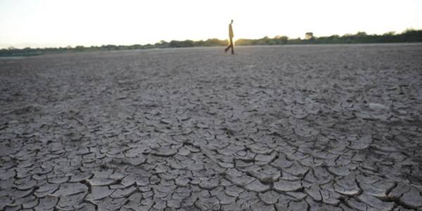 No Brasil, regiões como a Amazônia podem ver a elevação chegar a 6ºC, o que tornará a sobrevivência muito mais desafiadora