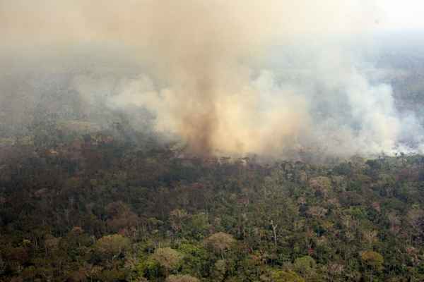 Entre 2012 e 2013, a floresta amazônica perdeu 5,8 mil km² de mata nativa