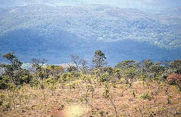 Vista do Parque Imperial, área com cerca de 3 mil hectares: segundo o responsável, a propriedade foi comprada em 1985 e vale hoje R$ 80 milhões