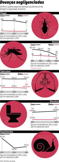 Especialistas veem necessidade de combate mais efetivo