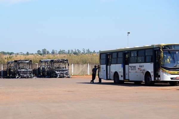 Os dois ônibus estavam ao lado de buraco na parede que dá acesso a matagal