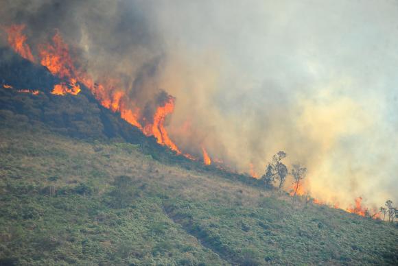 Técnicos que trabalham no combate às chamas acreditam que o desastre ambiental pode ser fruto de ação criminosa