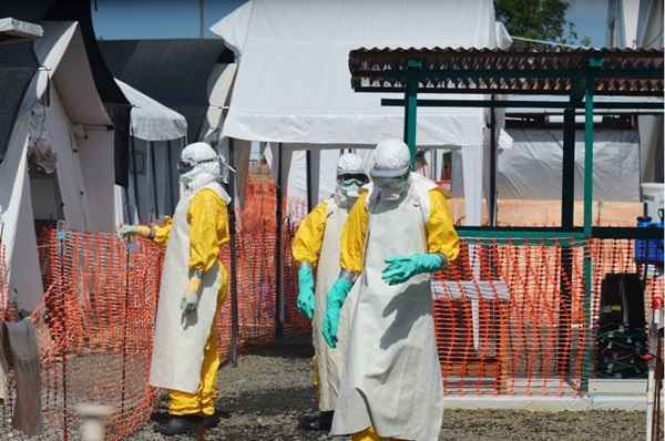 Especialista diz que ebola pode ter matado milhares além dos dados oficiais