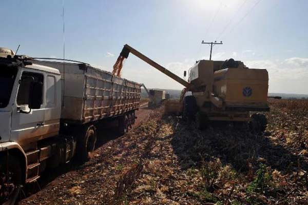 Cereais se destacam entre os produtos que tiveram queda de volume exportado