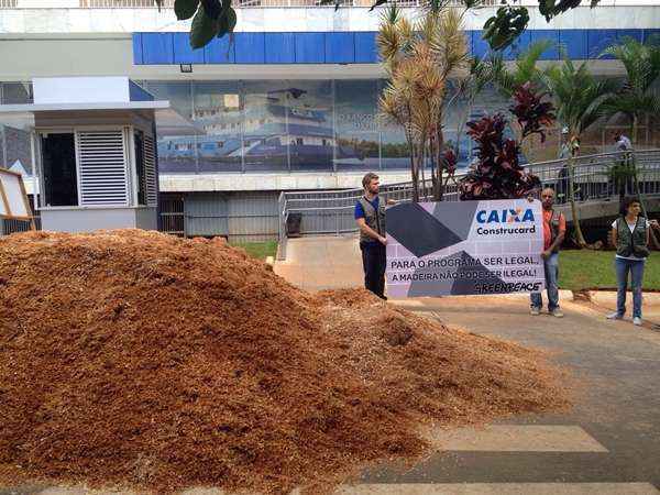 O ato é contra lojas credenciadas que comercializam madeira ilegal