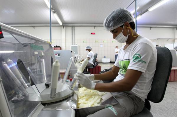 A fábrica produz hoje 100 milhões de preservativos por ano, todos destinados ao ministério da Saúde