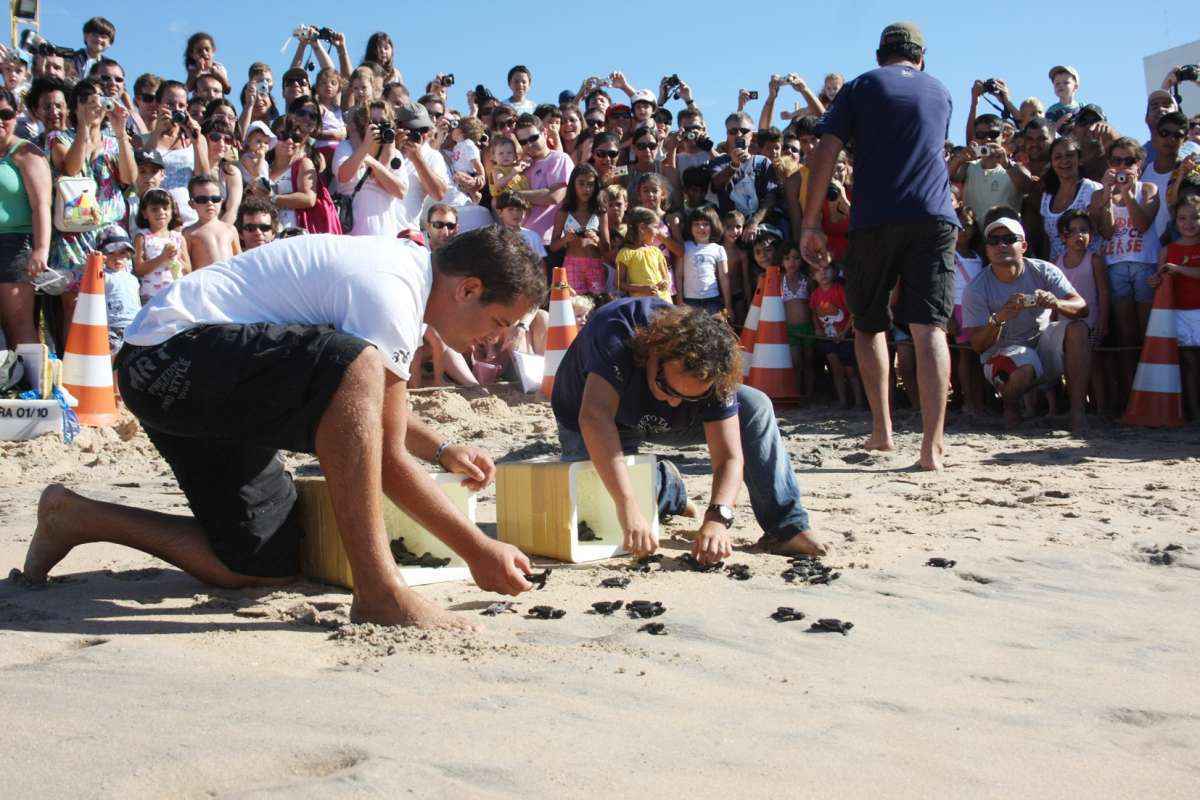 Projeto brasileiro de proteção a esses animais celebra mais do que o aniversário de 35 anos. O Tamar comemora as futuras gerações