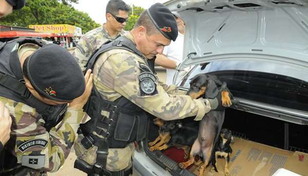 Secretaria de Saúde e Conselho Regional de Medicina Veterinária do DF encabeçaram a operação contra o comércio ilegal de bichos de estimação na Feira dos Importados