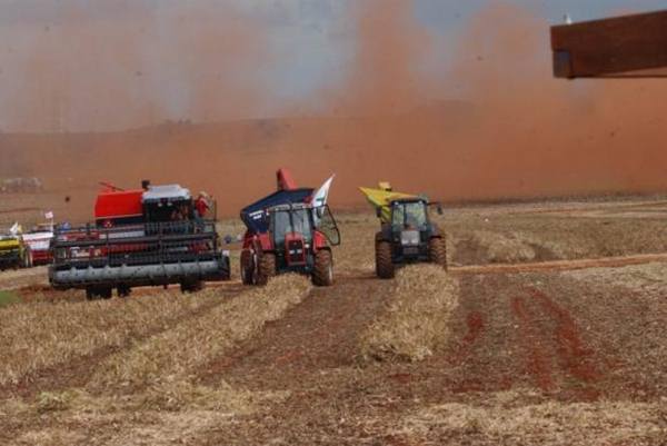 A maior parte da produção brasileira prevista para 2014 está concentrada nas regiões Centro-Oeste e Sul, que responderão por 42,8% e 37,1%, respectivamente