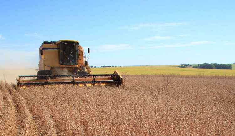 SNA afirma que o crescimento, mesmo em meio a adversidades, é a prova de que o agronegócio responde bem às ações do governo