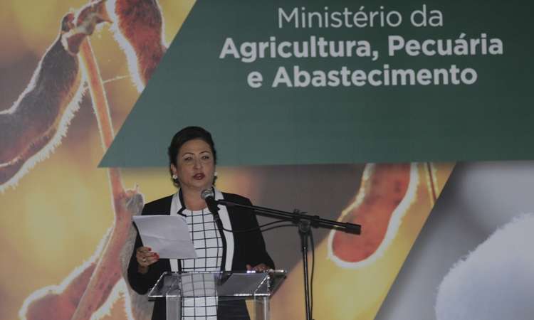 Senadora tomou posso como nova ministra da Agricultura com poucos peemedebistas na plateia