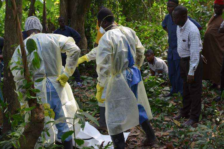 A Espanha e o Senegal, que já foram declarados países livres do ebola, têm um caso cada, mas não há registro de mortos