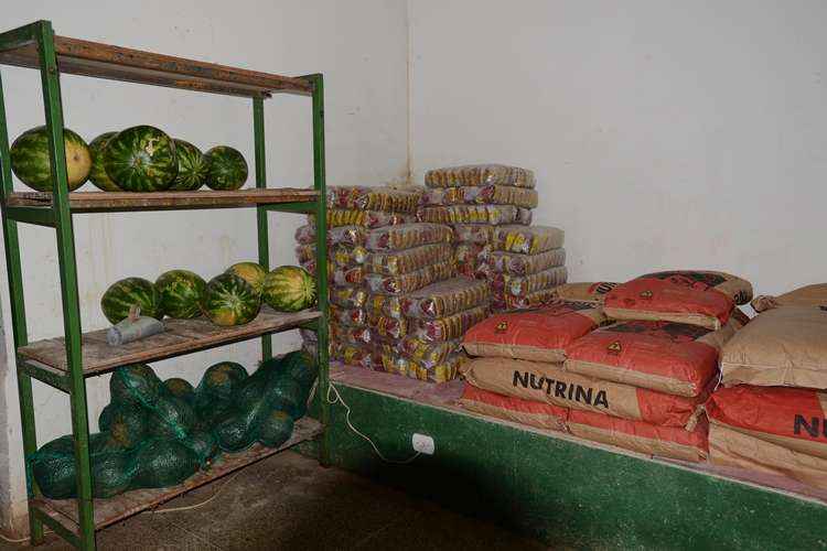 Espaço onde ficam as comidas e os remédios dos bichos está com prateleiras cheias